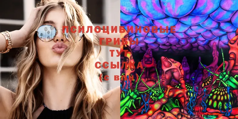 Псилоцибиновые грибы Cubensis  купить  цена  Макушино 